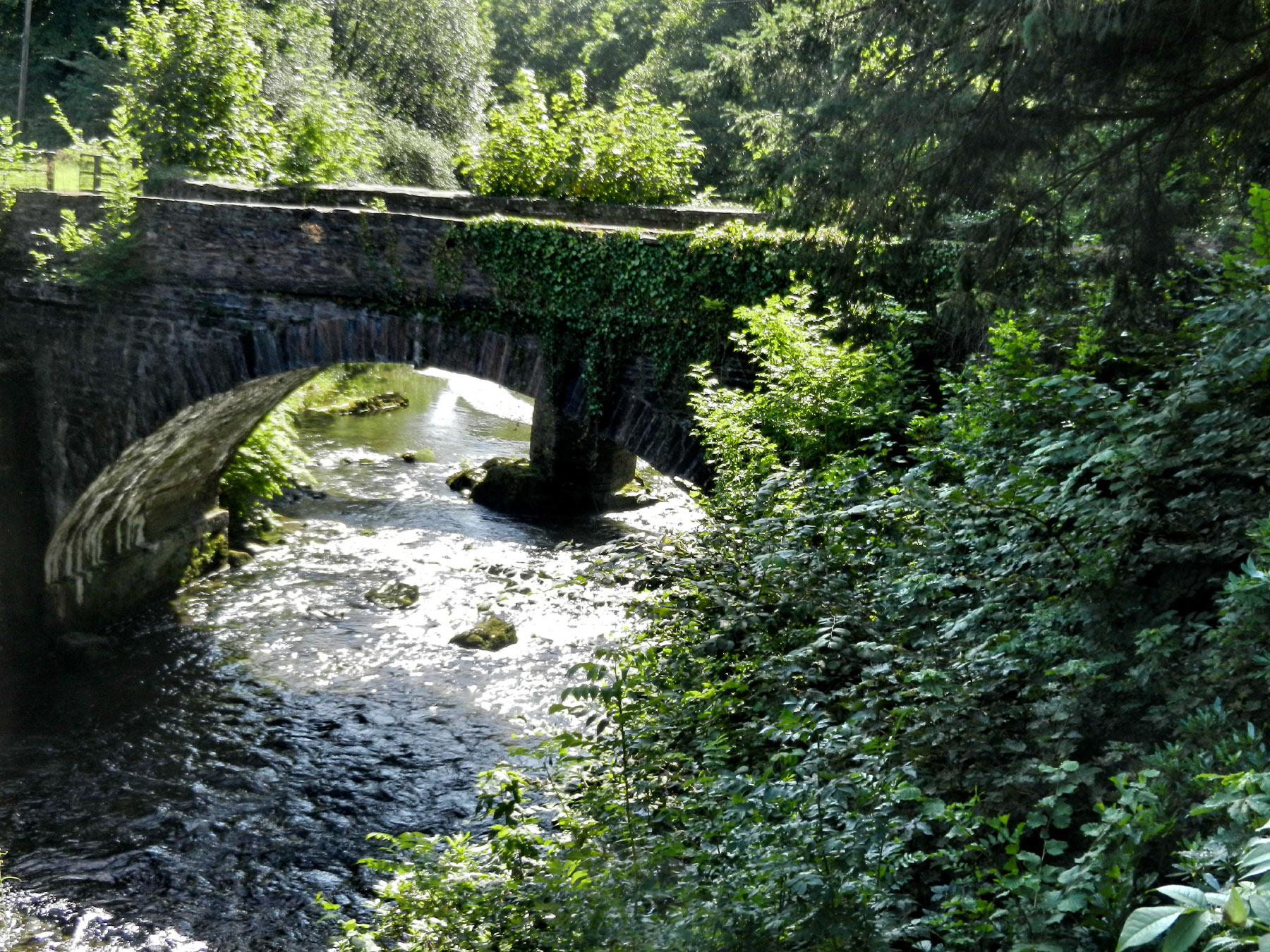 Meirion Mill